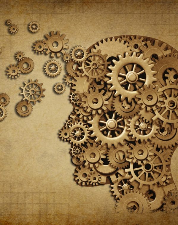 fonctionnement-cerveau fonctionnement-cerveau